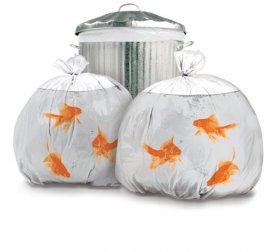 Jarros de Peces
