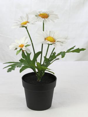 Margaritas artificiales Flores artificiales margaritas en macetita oasisdecor.com