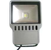 PROYECTOR LED 100 W IP -65 