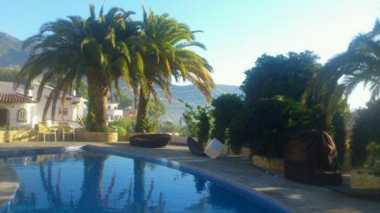 Piscina y paisajismo
