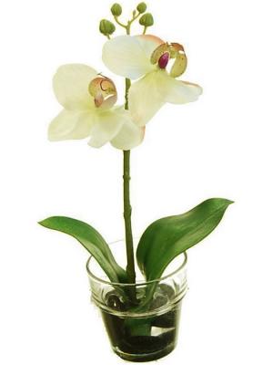Flores artificiales Centro vaso pequeño phalaenopsis artificial verde con agua solida oasis decor