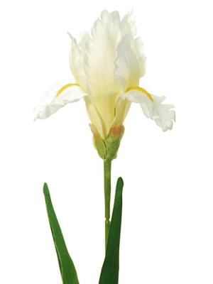 Flores artificiales de tela Flor artificial iris blanco Oasis Decor