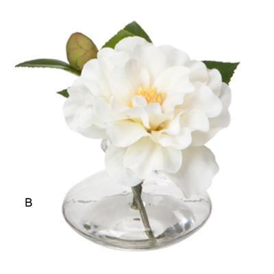 Agua Mágica Camelia