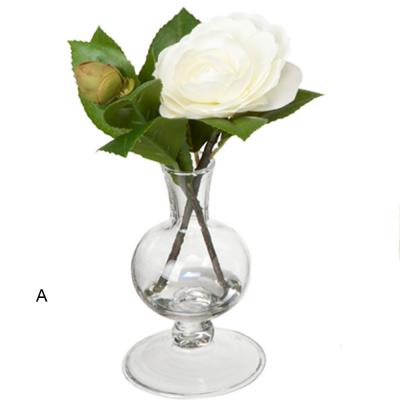 Agua mágica Camelia
