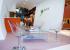 Decoracion stand Parrot