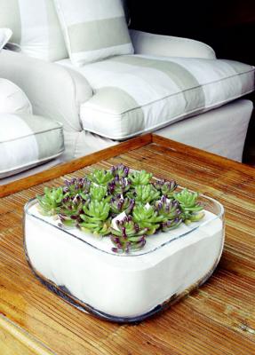 Cactus Artificiales en www.articoencasa.com