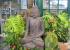 escultura de buda
