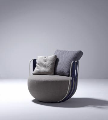 Novedad Swan