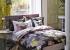 Designers Guild
