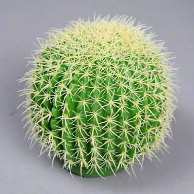 bola cactus