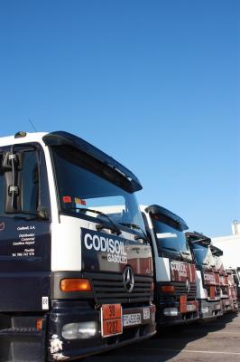 Flota de Camiones Codisoil35