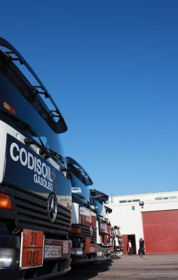 Flota de Camiones Codisoil33