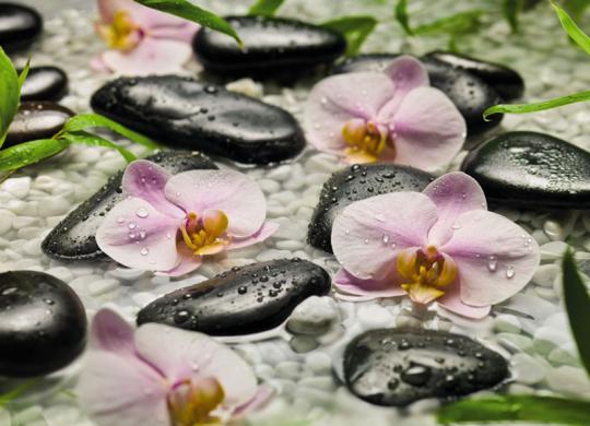 Fotomural de Pared Wellness 