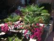 JARDINES
