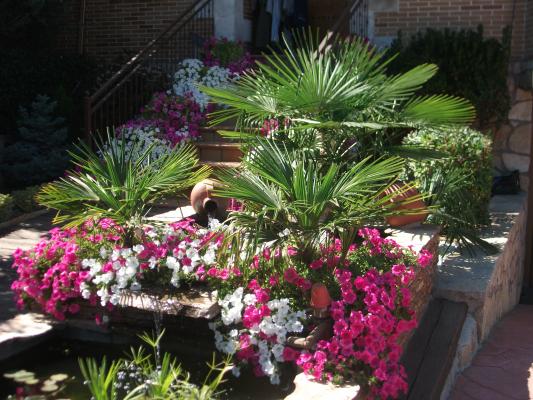 JARDINES