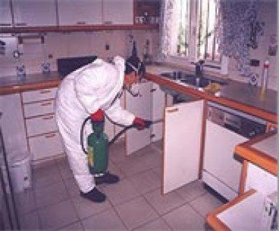 fumigaciòn de cocina