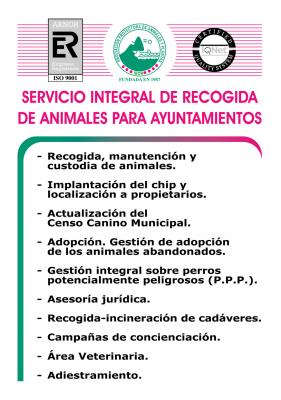 actividades