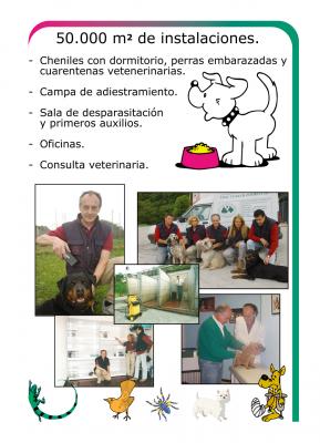 hotel canino