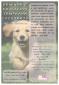 Educación cachorros
