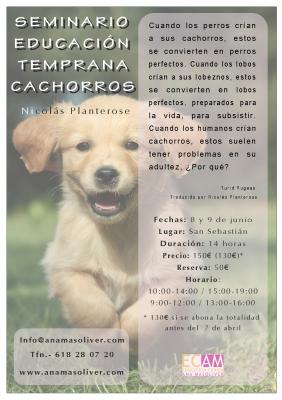 Educación cachorros