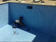 Trabajos de rehabilitacion de piscina con lamina flexible de P.V.C. 4