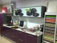 EXPOSICION