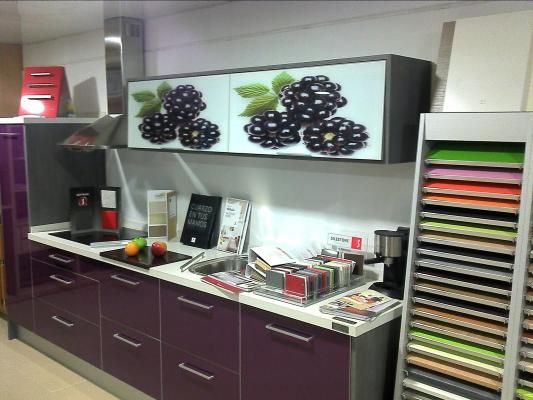 EXPOSICION
