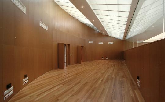 OBRA: SERGAS SANTIAGO