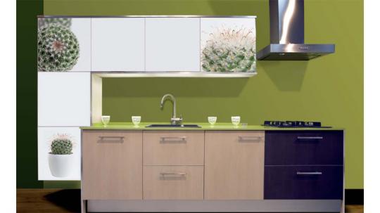 CONJUNTO CACTUS SOBRE CRISTAL