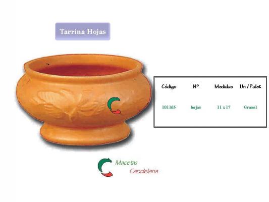 Tarrina Hojas