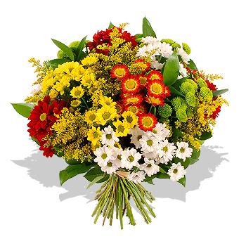 bouquet de margaritas