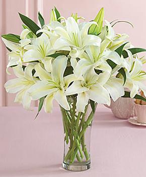 liliums blancos en ramo
