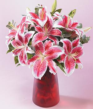 ramo de liliums rosa