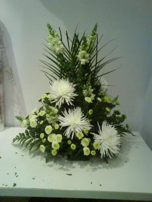 centro tonos blancos