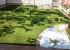 Jardin con césped artificial Bermuda