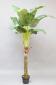 Platanera artificial