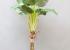 Platanera artificial