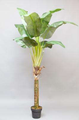 Platanera artificial