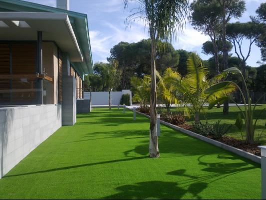 jardin