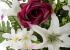 Todos los Santos. Ramo artificial flores camelias malvas con liliums 60 1 - La Llimona