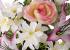 Todos los Santos. Ramo artificial flores camelias bicolor con liliums 60 1 - La Llimona