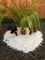 cesped artificial y jardines