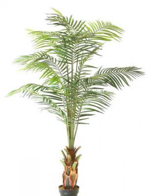 Palmera Kentia Esplendor Artificial - ArticoEnCasa.com