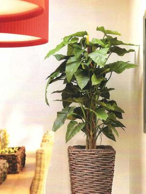 Árboles Artificiales - ArticoEnCasa.com