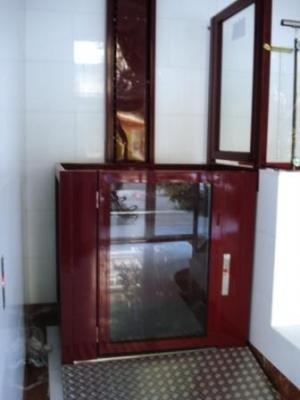 salvaescaleras casado