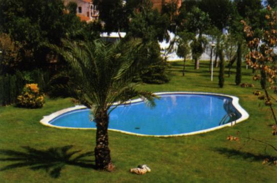 1989 Com. Pineda Spring