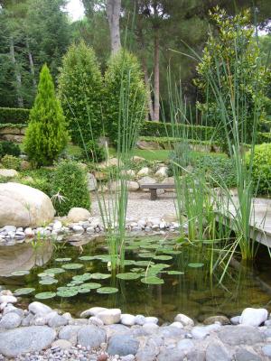 JARDINES ZEN Y ESTANQUES