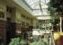 PLANTAS DE INTERIOR - SUMINISTRO Y MANTENIMIENTO