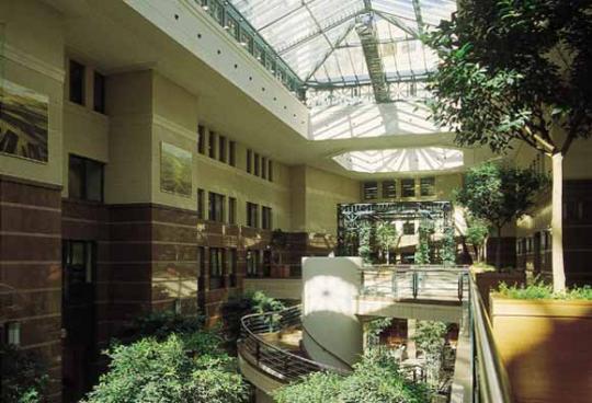 PLANTAS DE INTERIOR - SUMINISTRO Y MANTENIMIENTO