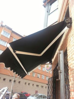 Toldo de Brazo Extensible